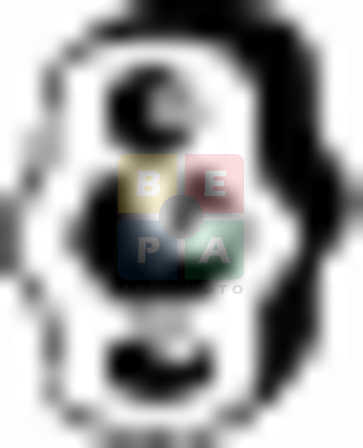Imagine articol