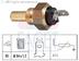 Senzor temperatura lichid racire FACET (cod 2057483)